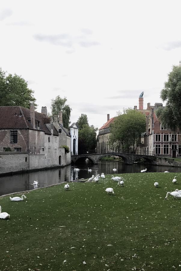 Odevaere - Charming & Luxurious Apartment With Terrace Bruges Luaran gambar